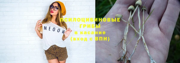 винт Мегион