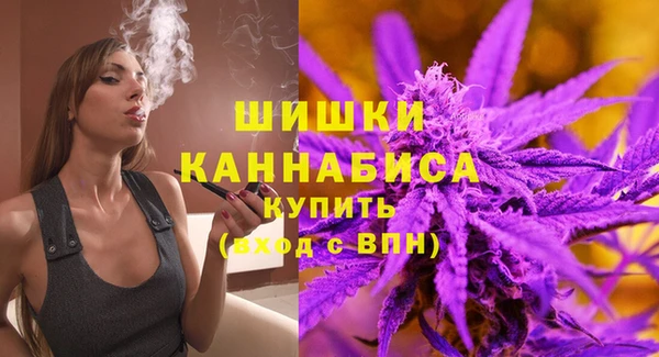винт Мегион