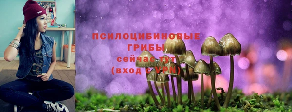 mdma Медногорск