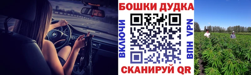 Конопля сатива  где купить   Андреаполь 
